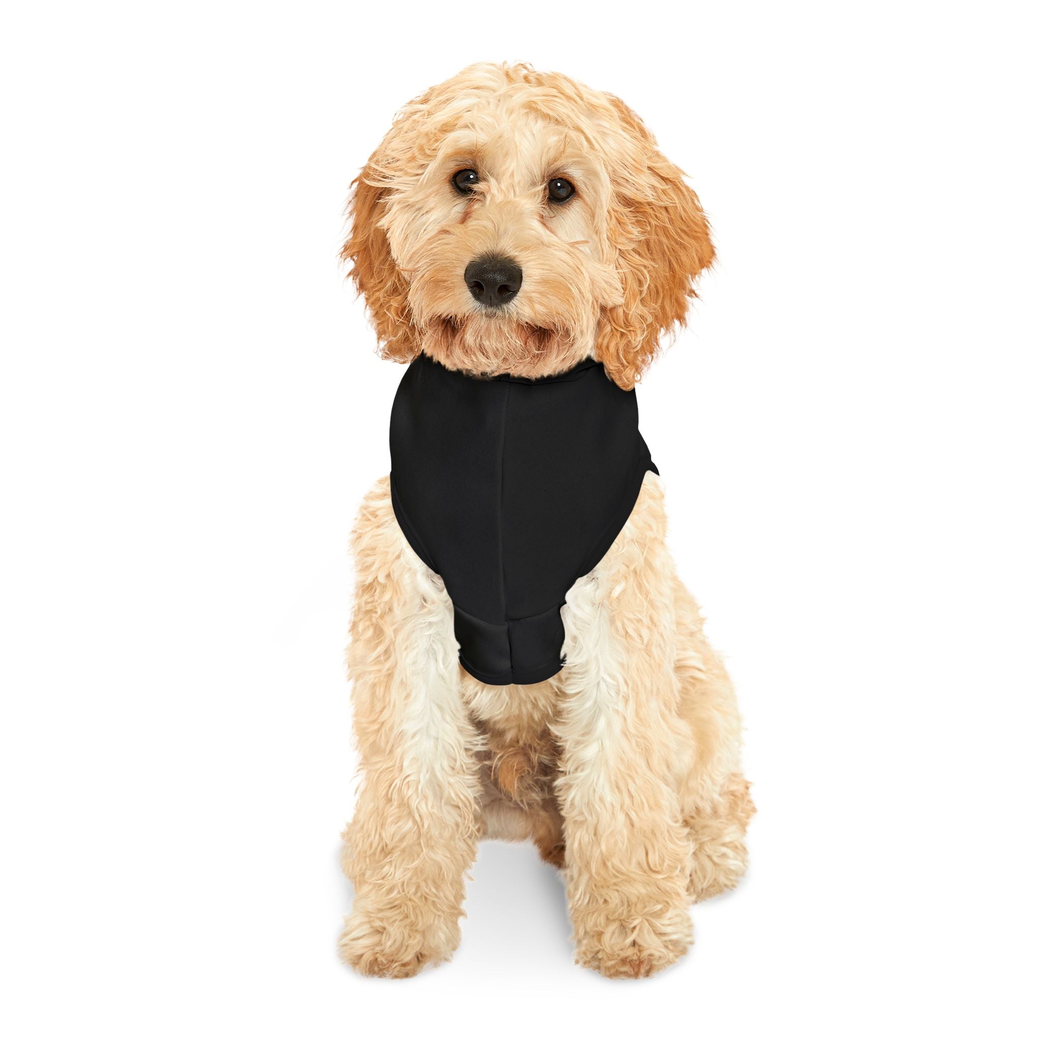 Cute Pet Hoodie - "Paws for Prayer" - Cozy Dog Sweater for Faithful Pet Owners
