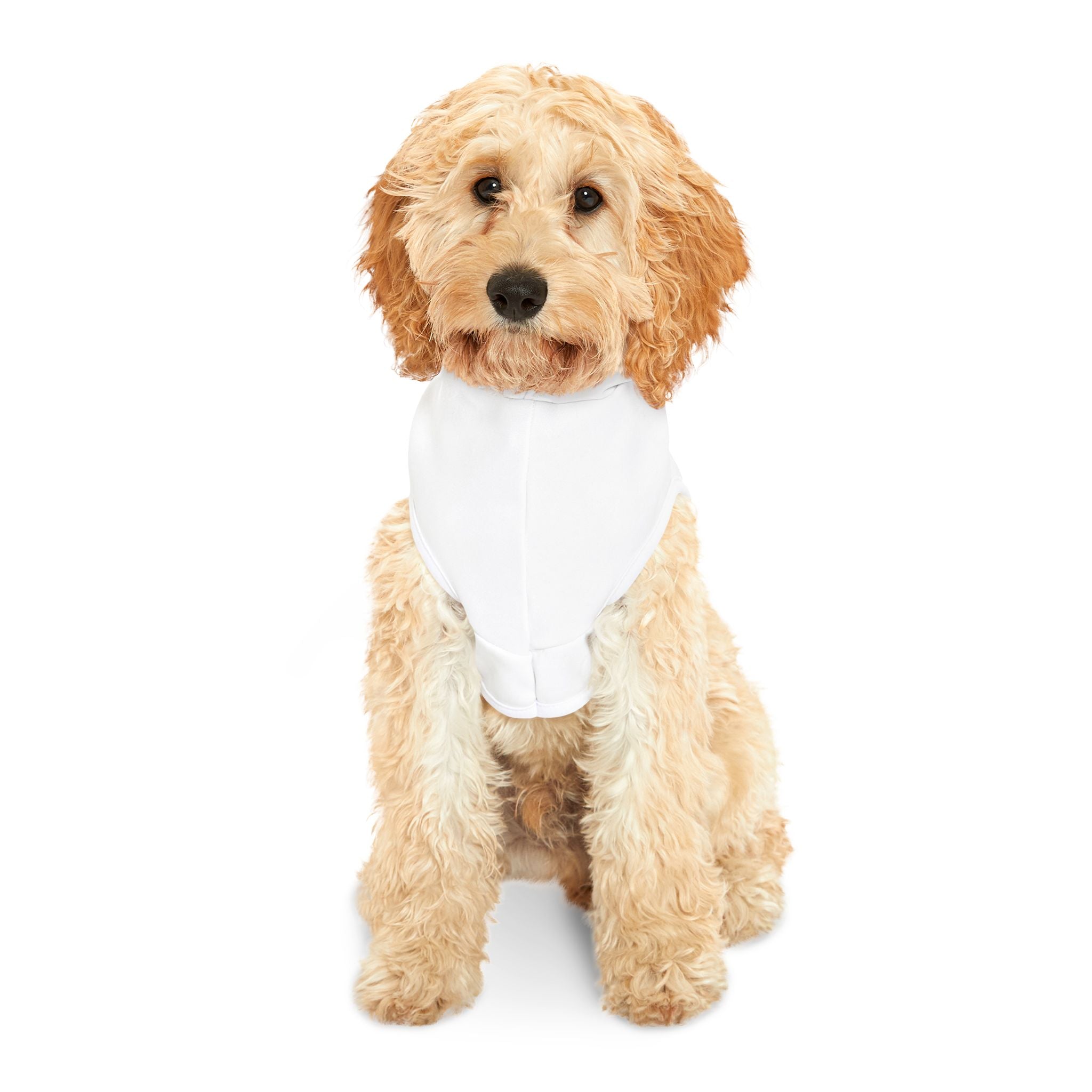 Cute Pet Hoodie - "Paws for Prayer" - Cozy Dog Sweater for Faithful Pet Owners